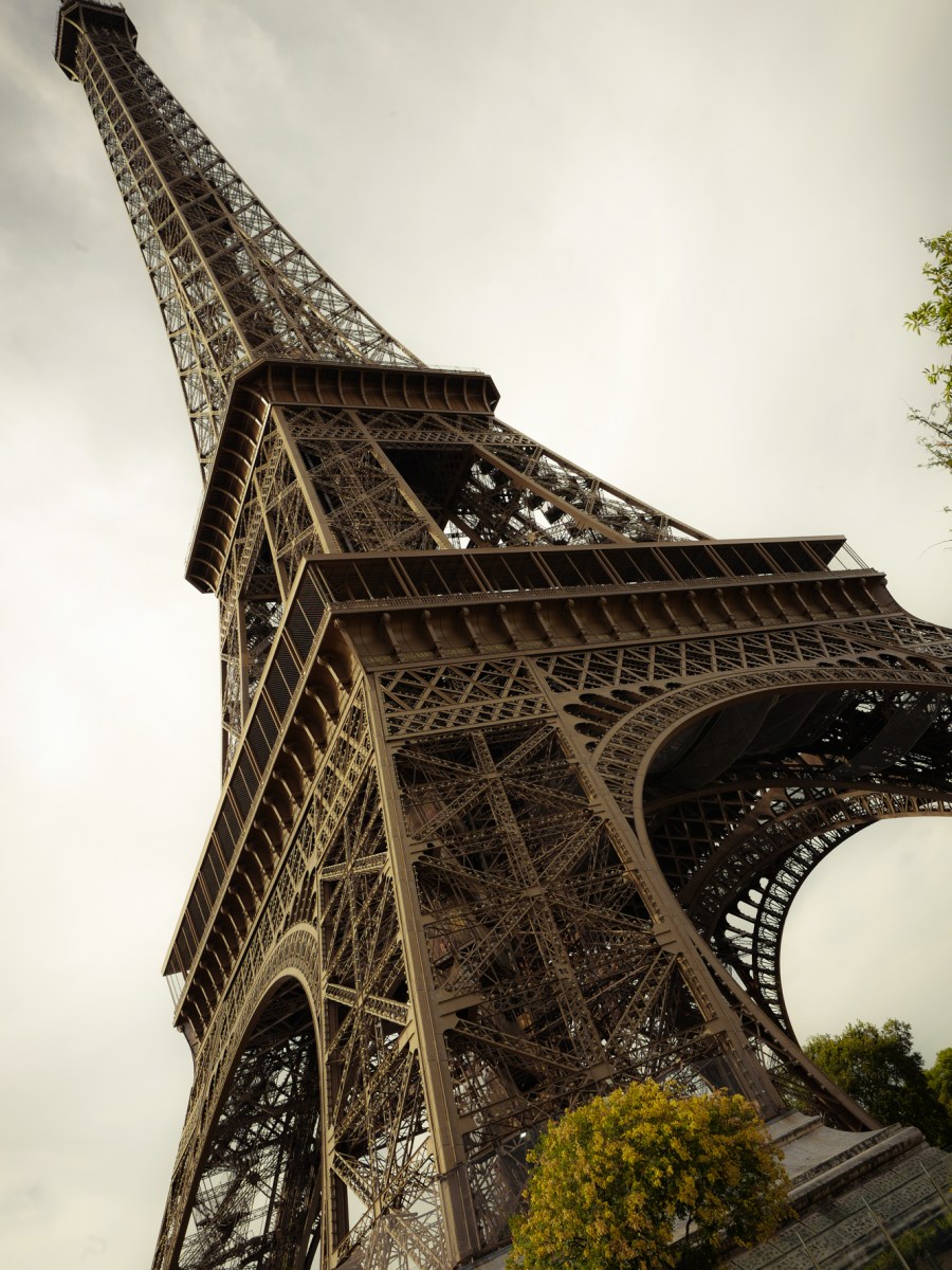 Au Pieds d&rsquo; Une Grande&nbsp;Dame…